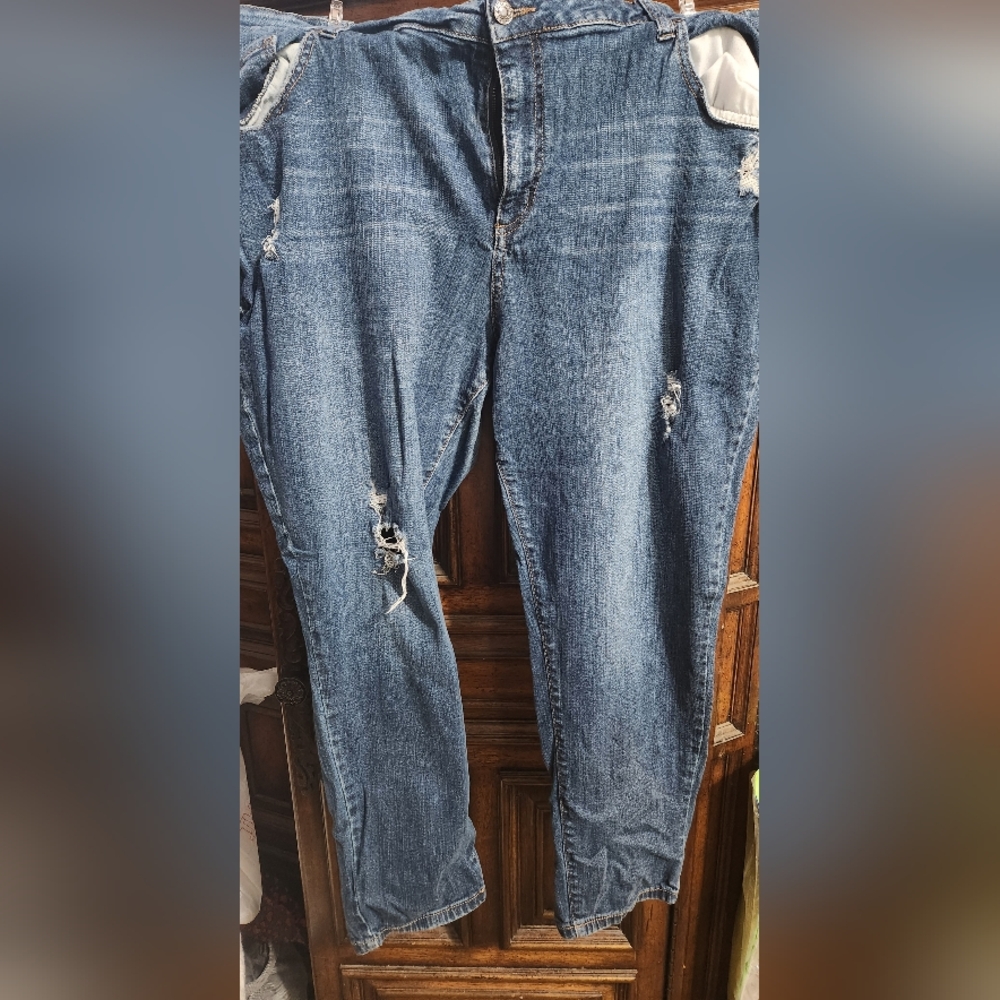 Falls Creek Blue Skinny Jeans with Distressed Details